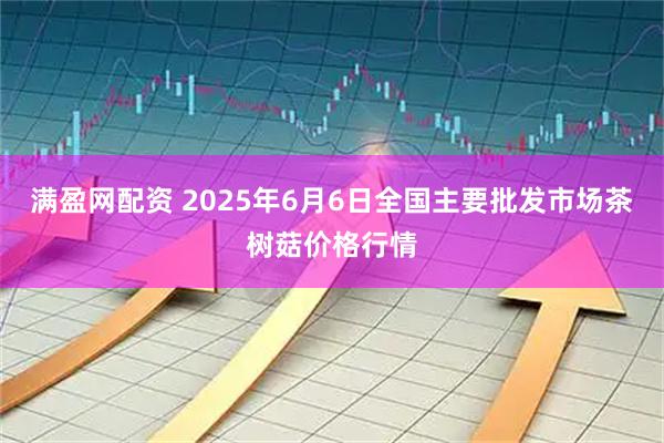 满盈网配资 2025年6月6日全国主要批发市场茶树菇价格行情